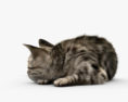 Schlafende Katze 3D-Modell