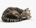 眠っている猫 3Dモデル