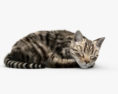 Sleeping Cat 3d model