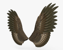 Pair of Bird Wings 3D model
