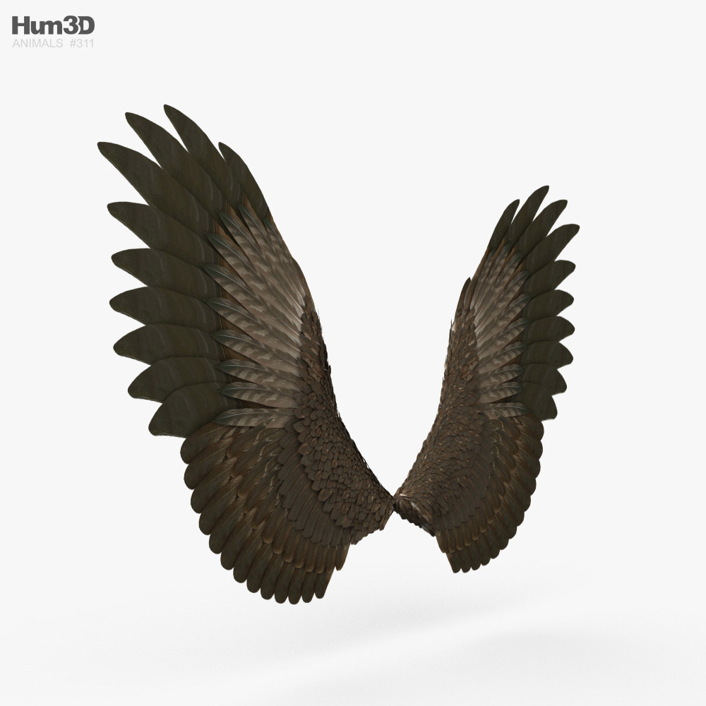 새 날개 3D 모델 