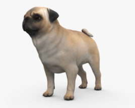 Pug HD 3D model