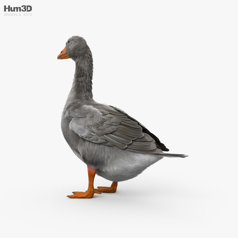 Goose HD 3d model