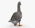 Goose 3d model