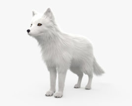 北極狐 3D模型