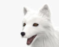 Arctic Fox HD 3d model