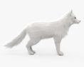 北極狐 3D模型
