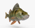 Perch 3d model