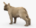 法國鬥牛犬 3D模型