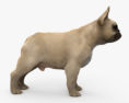 French Bulldog 3d model
