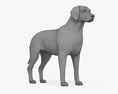 Golden Retriever 3d model