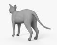 Siamês gato Modelo 3d