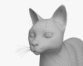 Сіамська кішка 3D модель