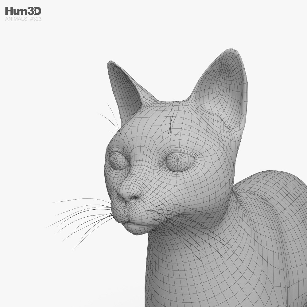 Siamese Cat 3D Model Rigged And Low Poly Game Ready | lupon.gov.ph