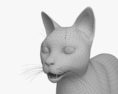 Сіамська кішка 3D модель