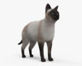 Siamese Cat HD 3d model