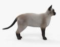 Siamese gatto Modello 3D