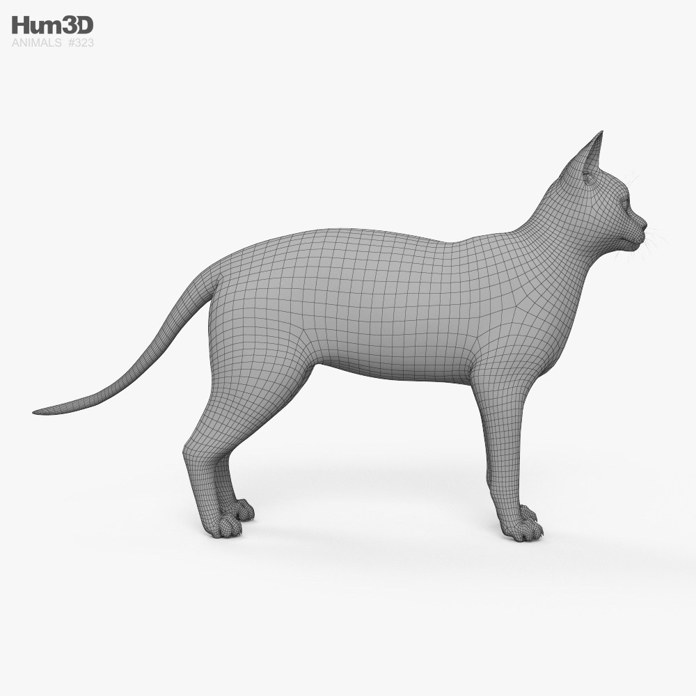 Siamese Cat 3d Model Rigged And Low Poly Game Ready 