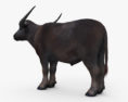 Asian Buffalo 3d model