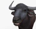 Asian Buffalo 3d model