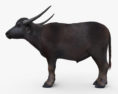 Búfalo-asiático Modelo 3d