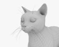 英国短毛猫 3D模型