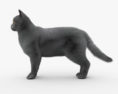 British Shorthair Cat 3d model