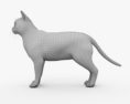 Британська короткошерста кішка 3D модель
