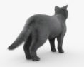 British Shorthair Cat 3d model