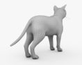 British Shorthair Cat 3d model