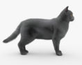 英国短毛猫 3D模型