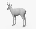 Antilocapra Modelo 3d