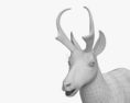 Antilocapra Modelo 3d