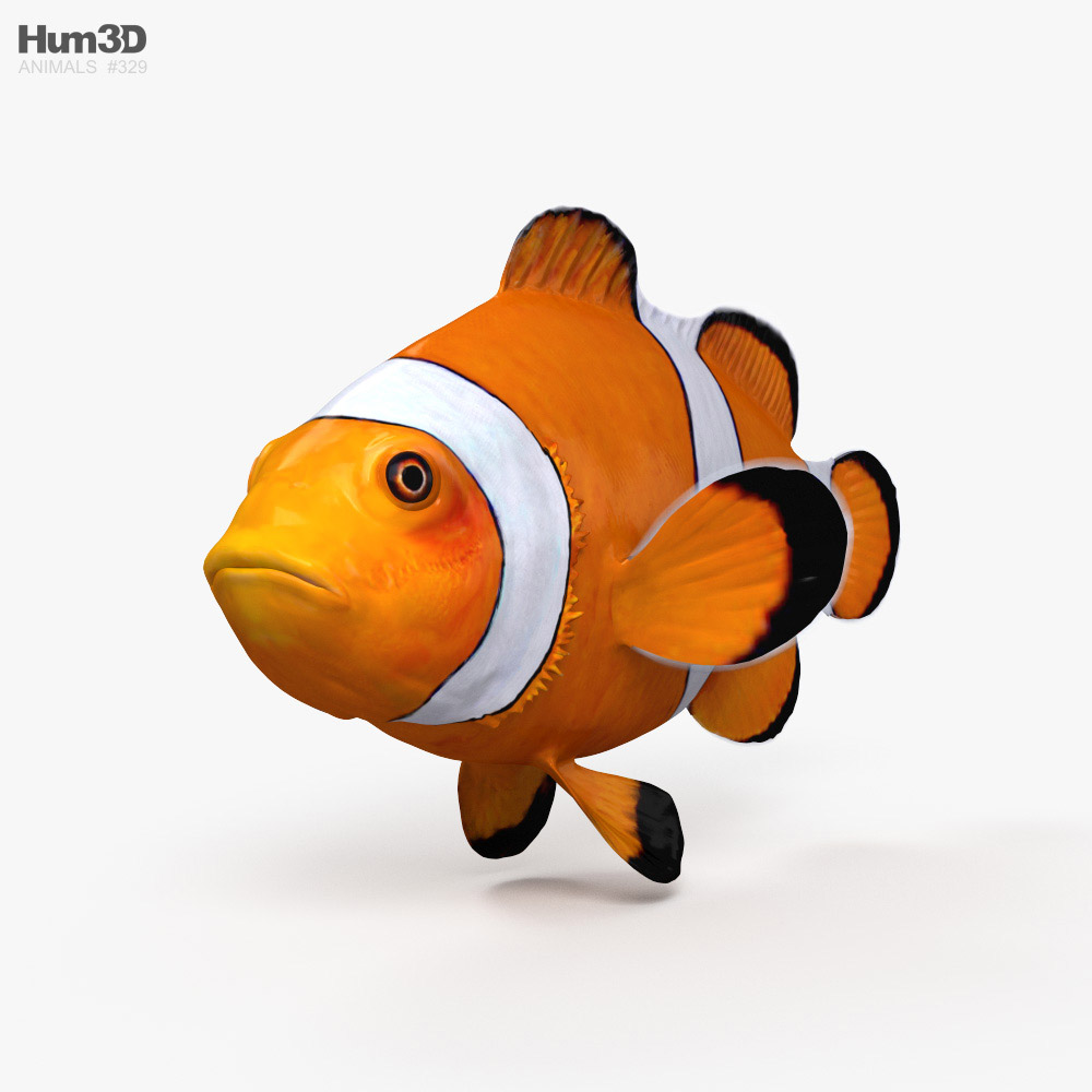 Риба-клоун 3D модель