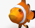 Clownfish 3d model