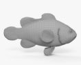 Clownfish 3d model