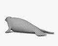 Spotted Seal 3d model