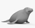 Spotted Seal HD 3d model