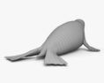 Spotted Seal HD 3d model