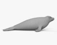 Spotted Seal 3d model