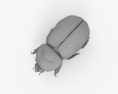 Rhinoceros Beetle 3d model
