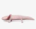 Axolotl HD 3D-Modell