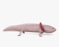Axolotl HD 3d model