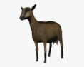 Alpine Goat HD 3d model