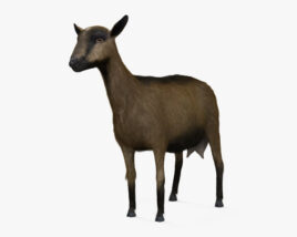 Alpine Goat HD 3D model