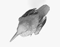 Common Starling 3d model