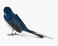 Barn Swallow 3d model