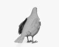 California Quail 3d model