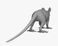 Opossum 3d model