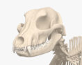 개 해골 3D 모델 